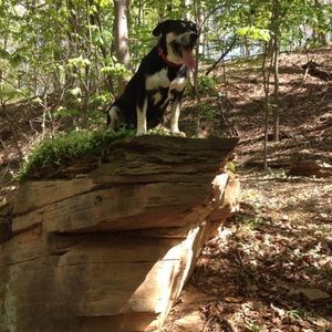 Meet your Posher, Brandon